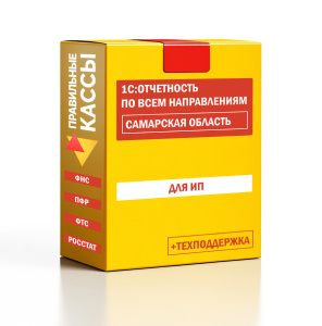 Отчетность_ИП_Самарская область